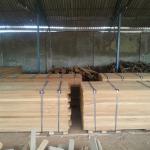 Burma Teak Wood