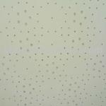 calcium silicate ceiling tile 1220*2440