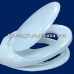child and adult toilet seat ZYUF-H00
