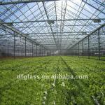 Economical glass green house H-2