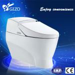 electrical toilet bidet with japanese bowl ser LZ-0704Z