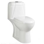 European p--trap sanitary ware toilet (A0161) A0161