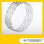 Expanded Metal Lath CS02