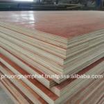 FSC container plywood