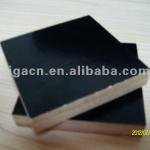 GIGA 13mm cheap melamine construction pine plywood GIGA-WJ0023