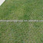 Grass paving grids HX010