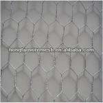 hexagonal wire netting, China supplier HT-QL43654