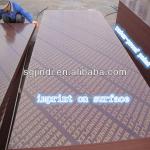 High quality marine film faced plywood with imprint on surface 1220*2440mm