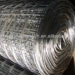 high quality welded wire mesh rolls for building with factory price TH-024Z