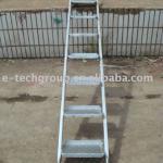 Ladder step 1955