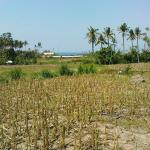 Land with Ocean View in Bali HTP;L1