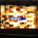 Machine Made Himalayan Salt Bricks