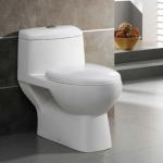 One-piece Toilet 1646A