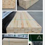 Pine Wood Timber / Lumber
