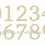 Polished Brass House Numbers customized