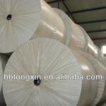 reinforced polyester mat for SBS/APP waterproof membrane 120-280g/m2