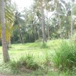 RESIDENTIAL LAND 4 SALE IN GURUVAYOOR-UAE:0554801241,KUWAIT:99461005 9746333324