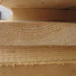 sawn spruce wood