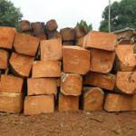 sawn timber DM27