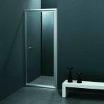 Shower Door M-643