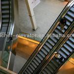 SRH Passenger conveyor for shopping mall GRE30
