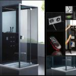 steam shower room DZ981-2F9