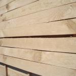 timber and lumber lumber